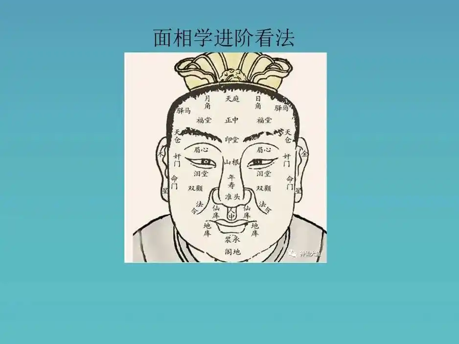 上一个抖音发了面相看耳朵,大家很喜欢看点赞量不错,这 - 抖音