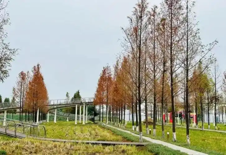 城头山景区景色.高慧 摄