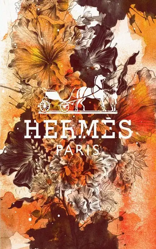 爱马仕不是一匹马它是个橙