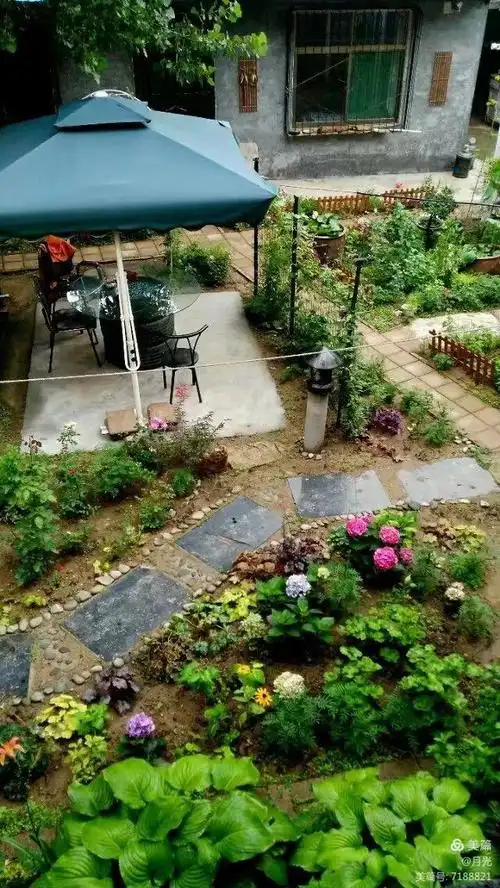 满园飘香 写美篇小院的初期可不是这样的,这是一所典型的山区农家小院