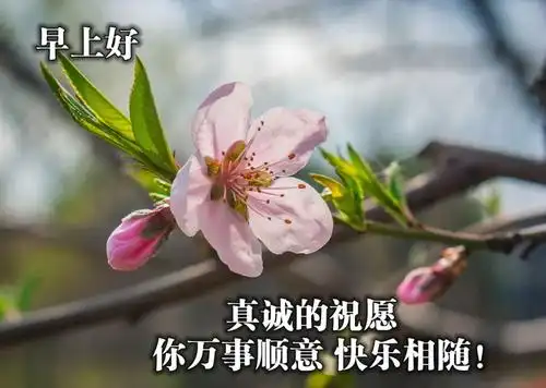 非常暖心的早安问候图片早安心语祝福图片大全