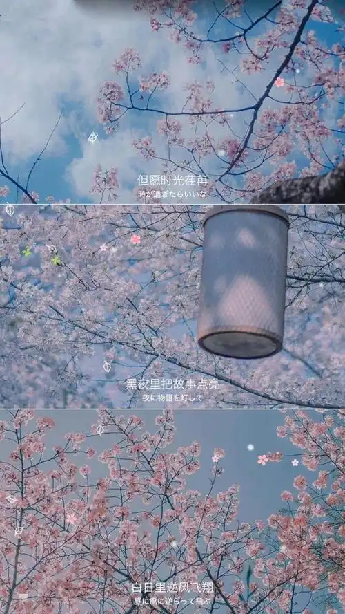 温柔了生活的治愈系文案,值得收藏