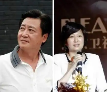 赵宝刚对妻子丁芯一见钟情 丁芯资料介绍