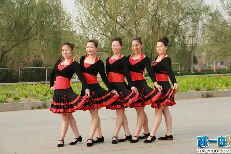 《广场舞大妈》