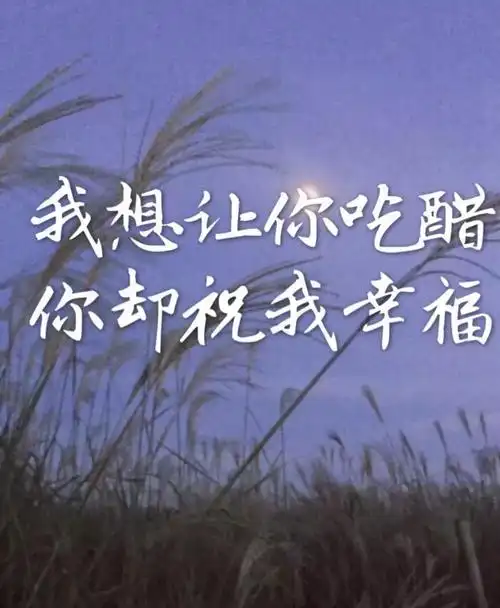 适合心情低落的朋友圈朋友圈发泄情绪的句子