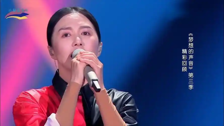 追星日记#回顾经典-王力宏谭维维《缘分一道桥》