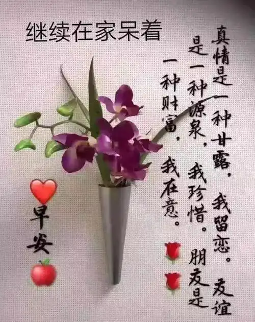 非常好看的早上好问候图片带字温馨漂亮早晨问候语美图