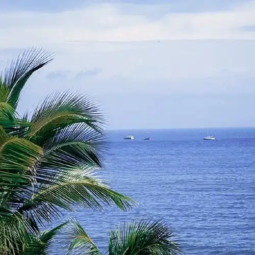 王源晒春日海边风景照