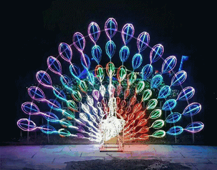 441_346gif 动态图 动图