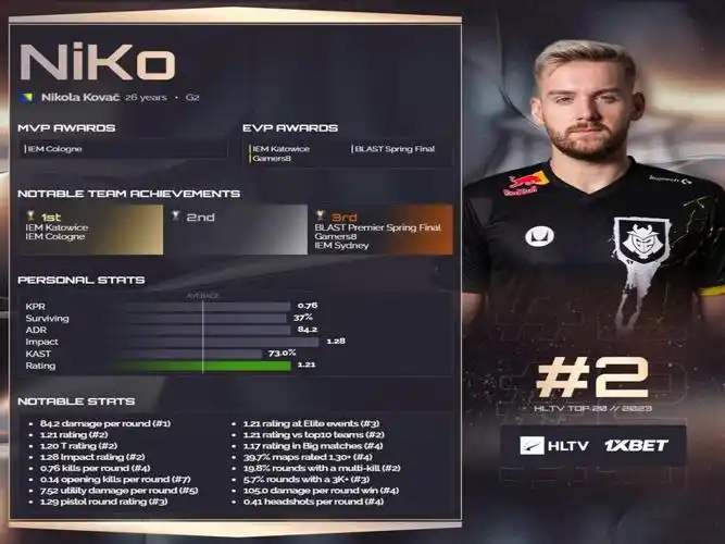 【top20】csgo之niko年度集锦