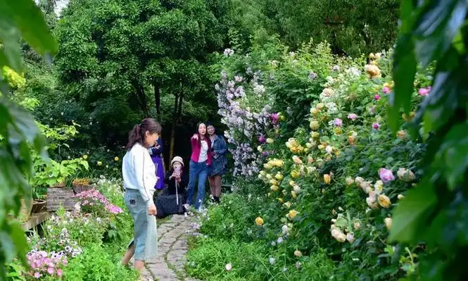 多多花园,花样多多,游客多多,多多美好.无锡锡山区锡北镇.
