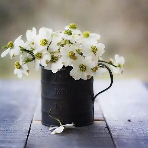 发朋友圈首选的金句,经典透彻,百看不厌!