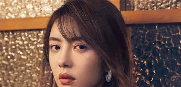 盘点姓蔡的5位明星除了蔡依林蔡少芬你还知道哪几位