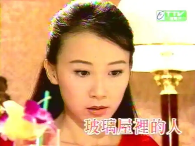 p>《玻璃屋里的人》是赵玉嵘执导,萧蔷,林健寰,黄文豪,叶全真主演的