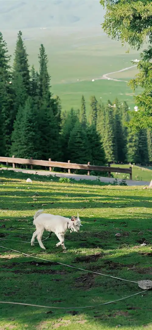 很棒的一组治愈风景锁屏壁纸