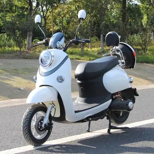 龟王电动车_出口龟王男女大功率电动车长跑王电瓶车成人 - 阿里巴巴