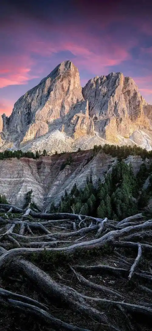 手机壁纸·4k景深全面屏