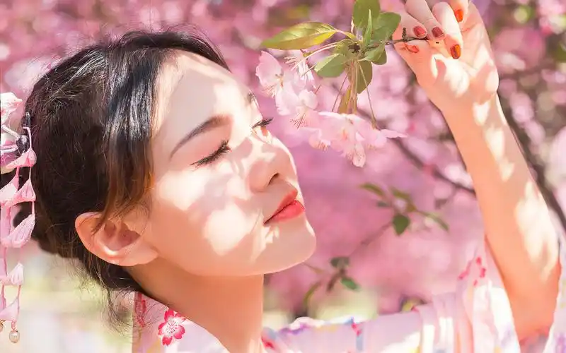 日系轻熟女户外和服樱花树下唯美写真壁纸