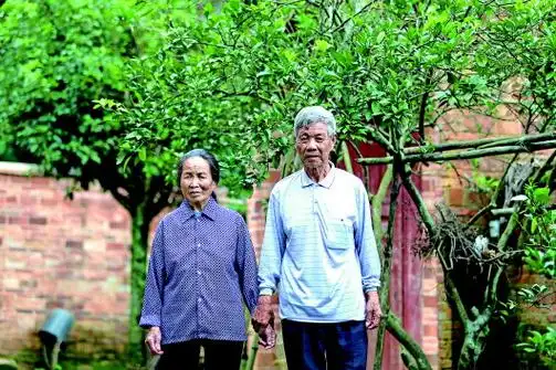 毛泽东《兴国调查》中8户农民的后人怎么样了