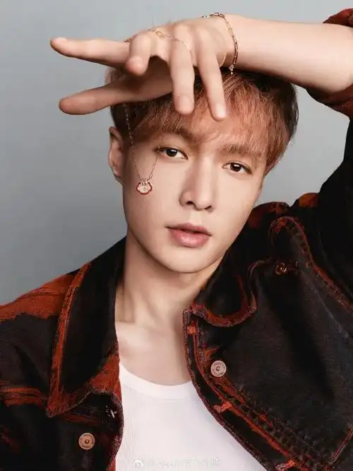 张艺兴##qeelin全球品牌代言人张艺兴