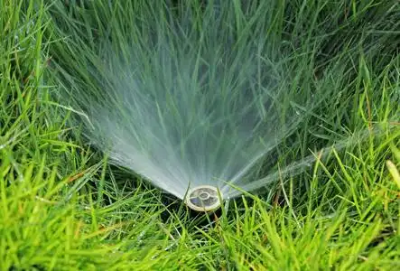 草坪喷水照片