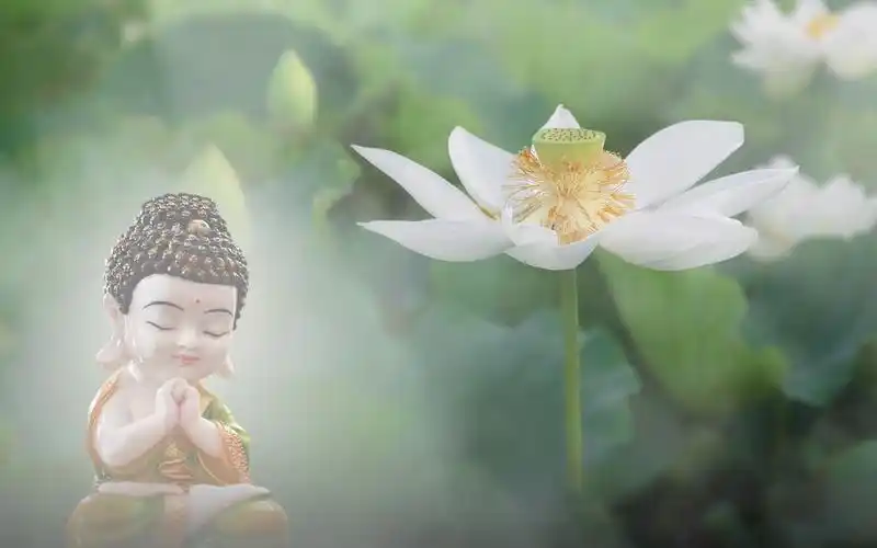 【佛教音乐】观音十法-- 在静心的音乐中澄澈身心