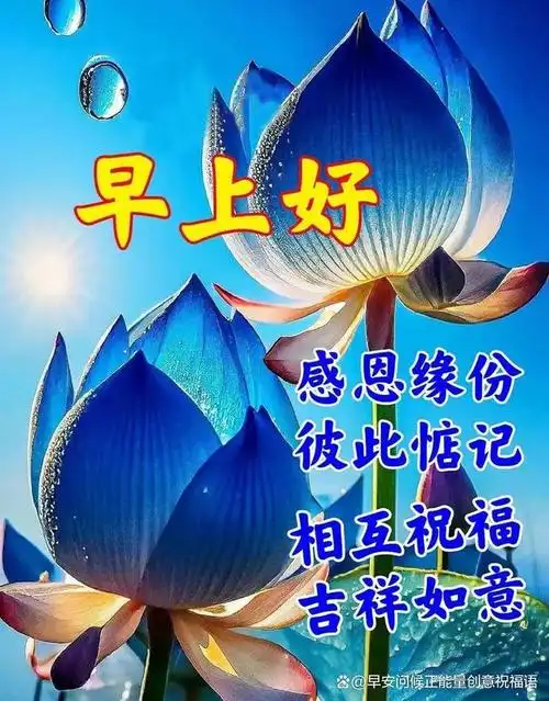 4.29周一早上好祝福,星期一问候问候语,愿您每秒