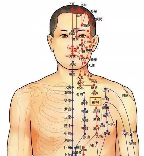 自然新娘祛痘日记/经络不通百病生,痘痘反复没你想的那么简单_面部