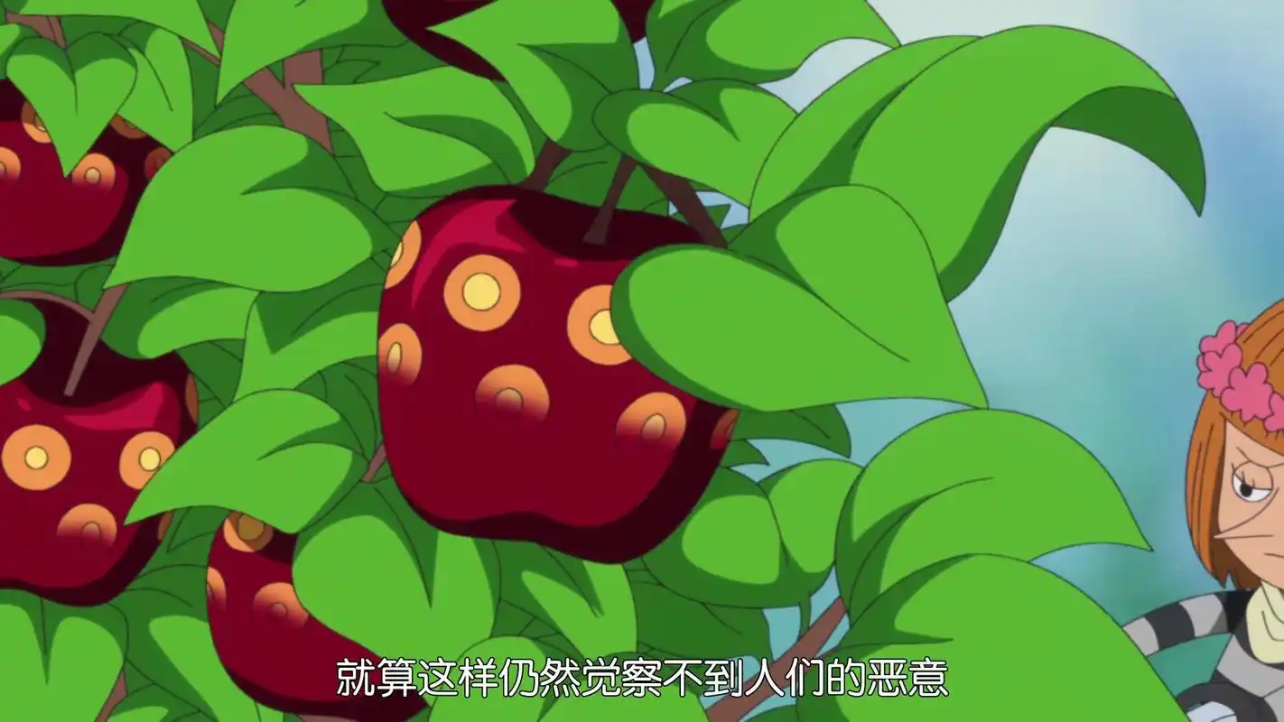 海贼王防御最强的果实排行屏障果实不是最强第一名攻守兼备