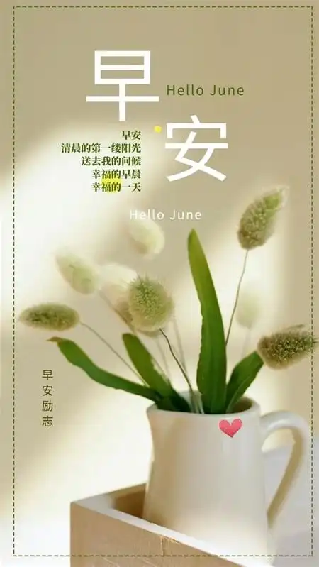 2019的最后一天早安心语