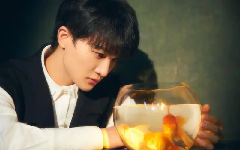 【周深】周深工作室时光音乐会vlog合辑