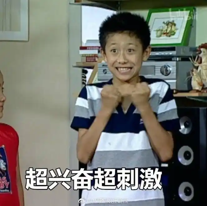 超兴奋超刺激我爱我家刘星表情包刘星我爱我家影视表情表情