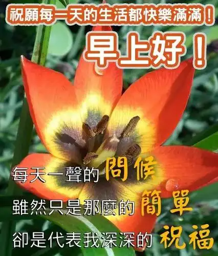 2021年早上好问候语图片表情大全 早上好祝福短句唯美图片