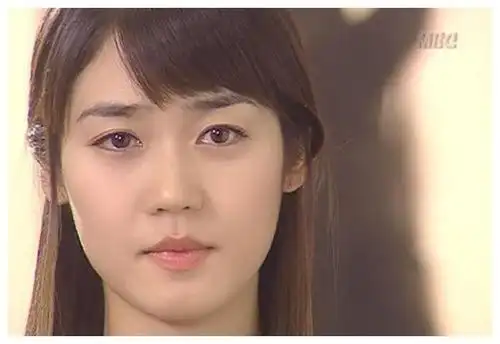 这部剧就是2004年的《皇太子的初恋》,由车太贤,成宥利等人主演