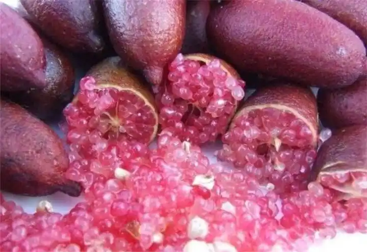 5种全世界罕见的水果,第5名字自带"神秘感",全吃过的是个大神