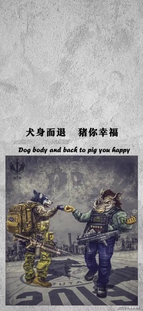 2019抖音最火生肖壁纸文字控壁纸