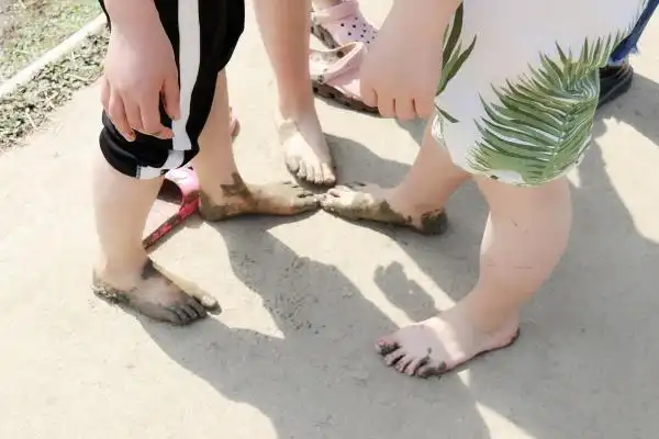 四川大学锦城学院学生劳动课赤脚下田种莲藕