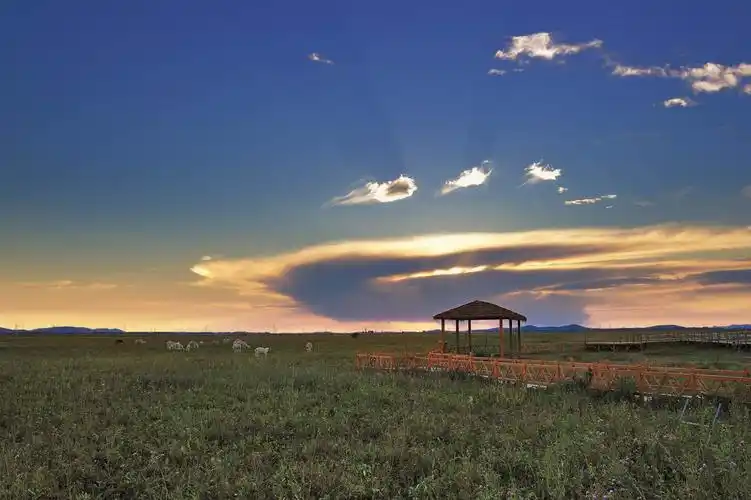 河北沽源--五花草甸景区