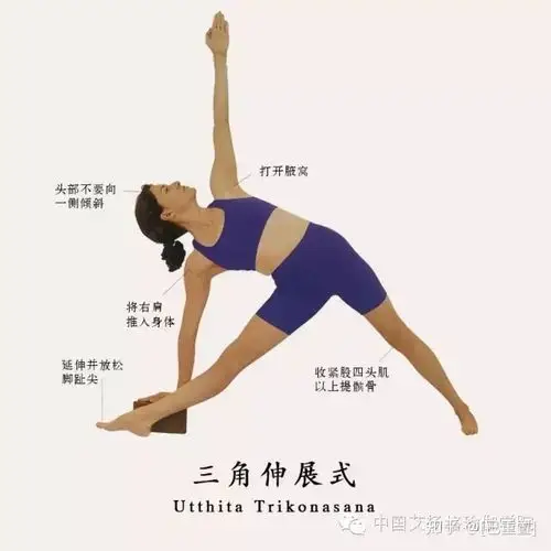 练得安全透析入门经典体式三角伸展式战士第二式