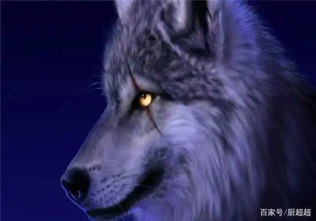 《狼道》:学习狼王的智慧和隐忍,10句话带你了解如何成为强者