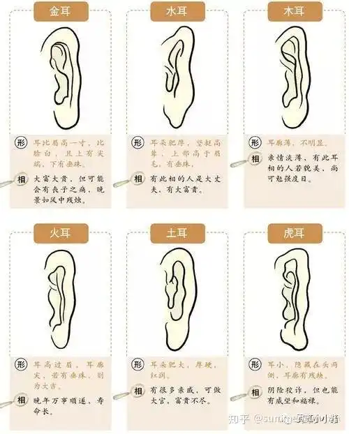 耳朵都开始整容了是土是洋和耳朵关系大吗