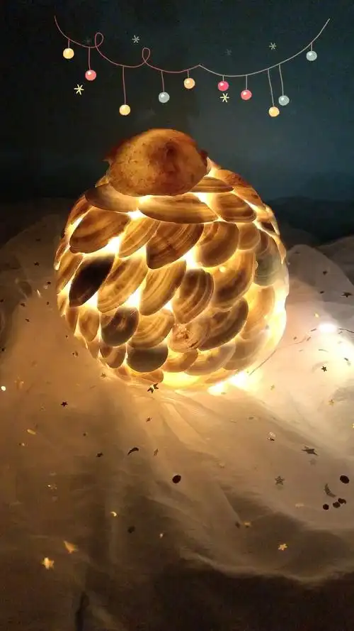 废物利用#海边捡来的贝壳做成小台灯