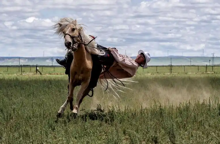 草原青青 马蹄声声