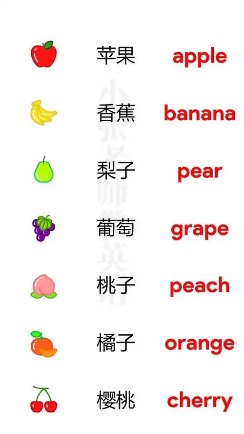 水果单词