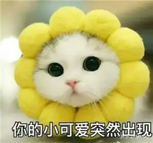 和女生聊天开场表情包,答应我别再用"你好"打招呼了