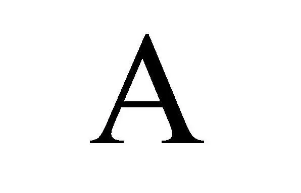 大写的词典释义