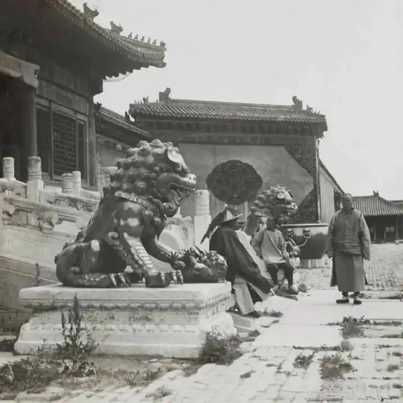 一百多年前的紫禁城#历史老照片#  晚清时期的紫禁城,看得出当时到处