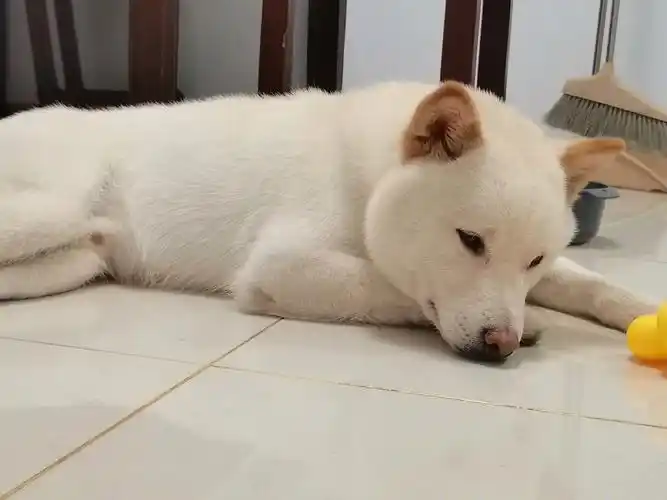 无聊,发呆,想要出去玩98