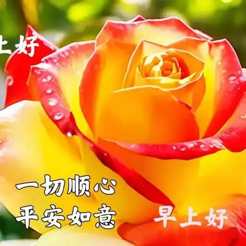 早安祝福图片带字带早上好问候语新的一天吉祥如意周二愉快