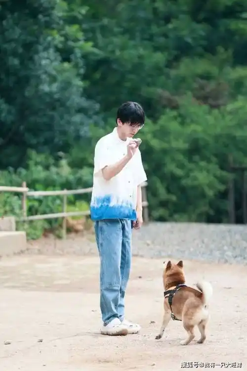 张艺兴被走地鸡吓懵,彭昱畅崩的爆米花小h都不吃_黄磊_何炅_张子枫